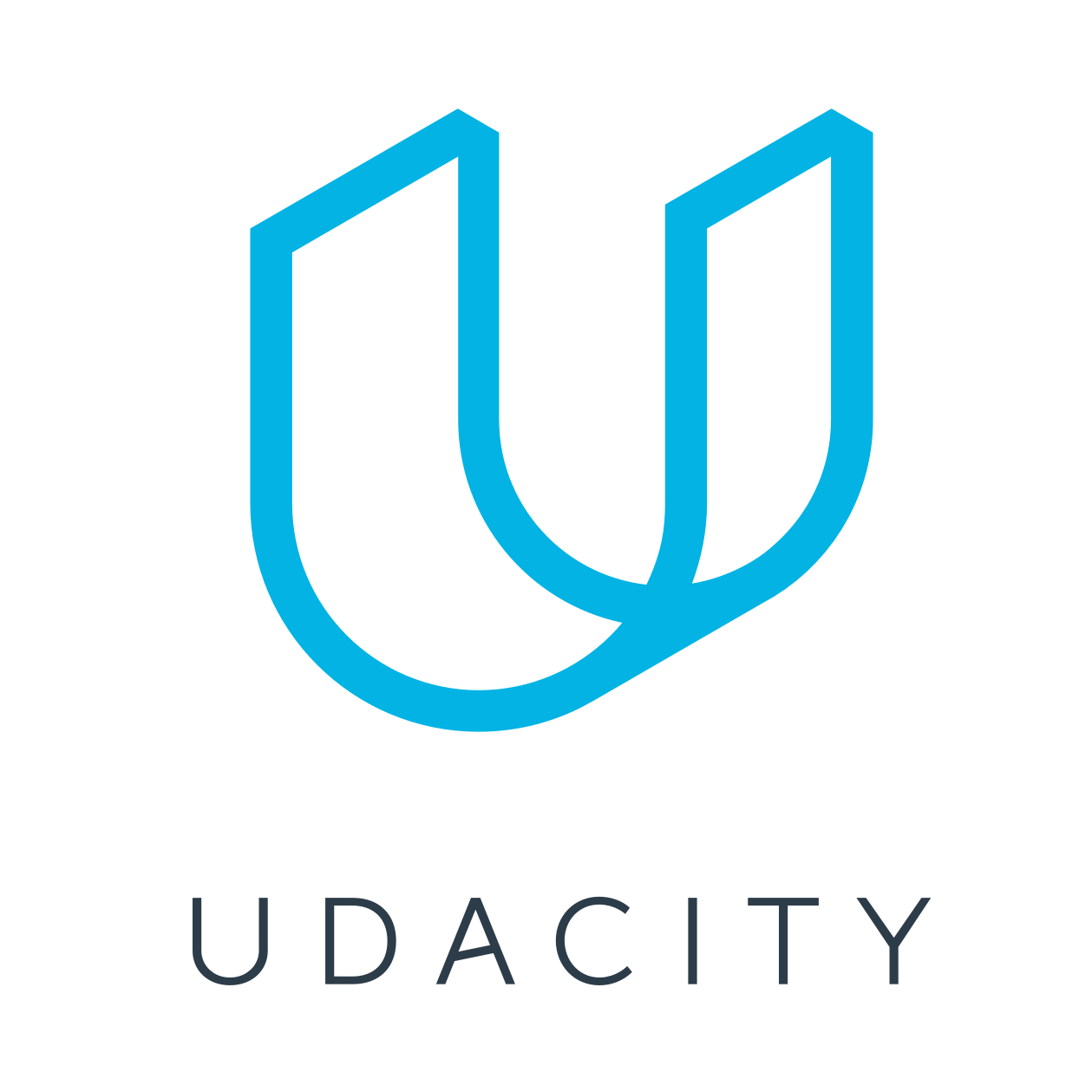 udacity.png